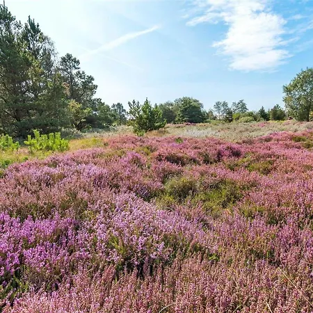 بيت للعطل 0135-romo-smafolksvej-45