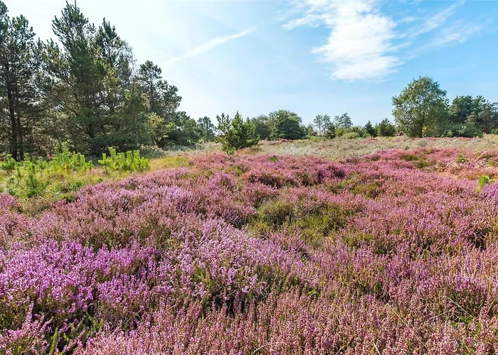 Tatil Evi 0135-romo-smafolksvej-45